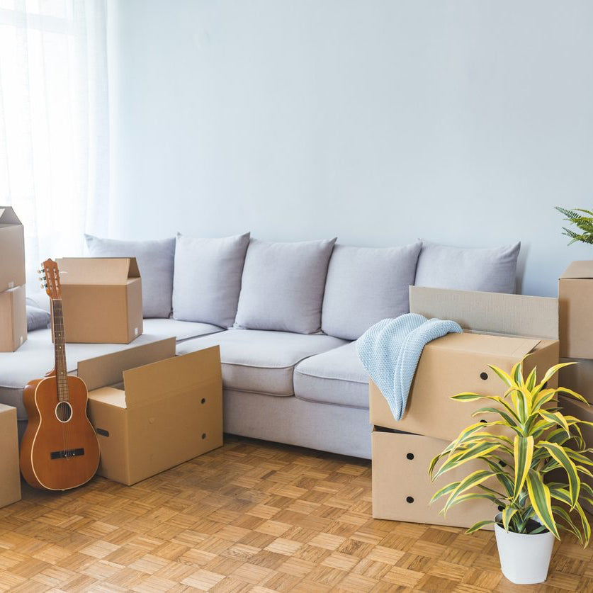 Move-In/ Move Out Cleaning